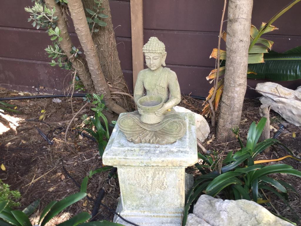 The Buddha Garden Kapstaden Eksteriør billede